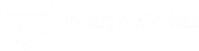 Push Gaming logo